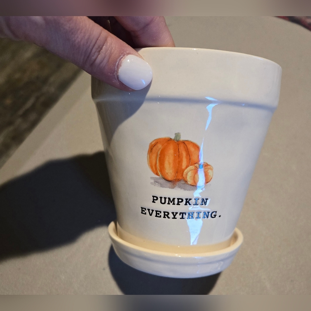 Rae Dunn small plant pot- Pumpkin Everything